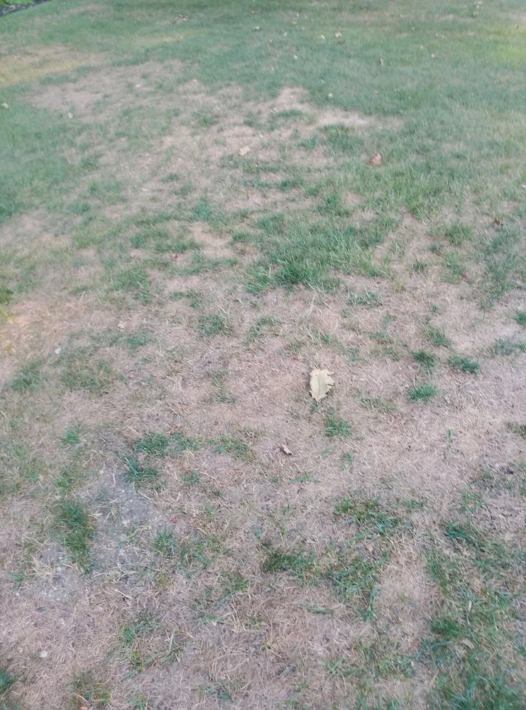 Reliable lawn mowing service for residential properties in Smithfield, RI by MissionGreen Services