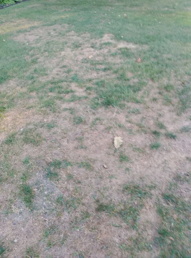 Top-rated yard maintenance experts serving Smithfield, RI - MissionGreen Services