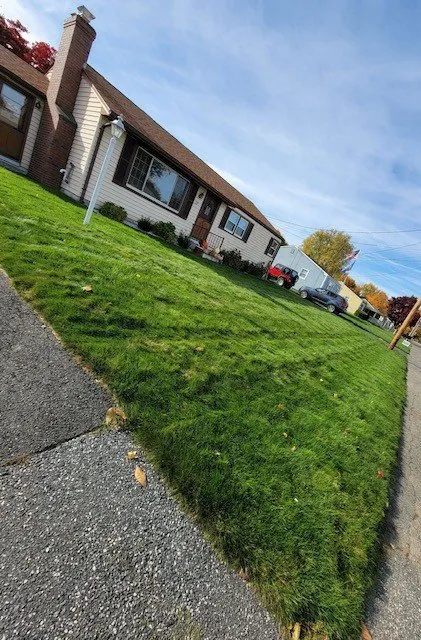 Expert yard cleanup service experts serving Smithfield, RI - MissionGreen Services