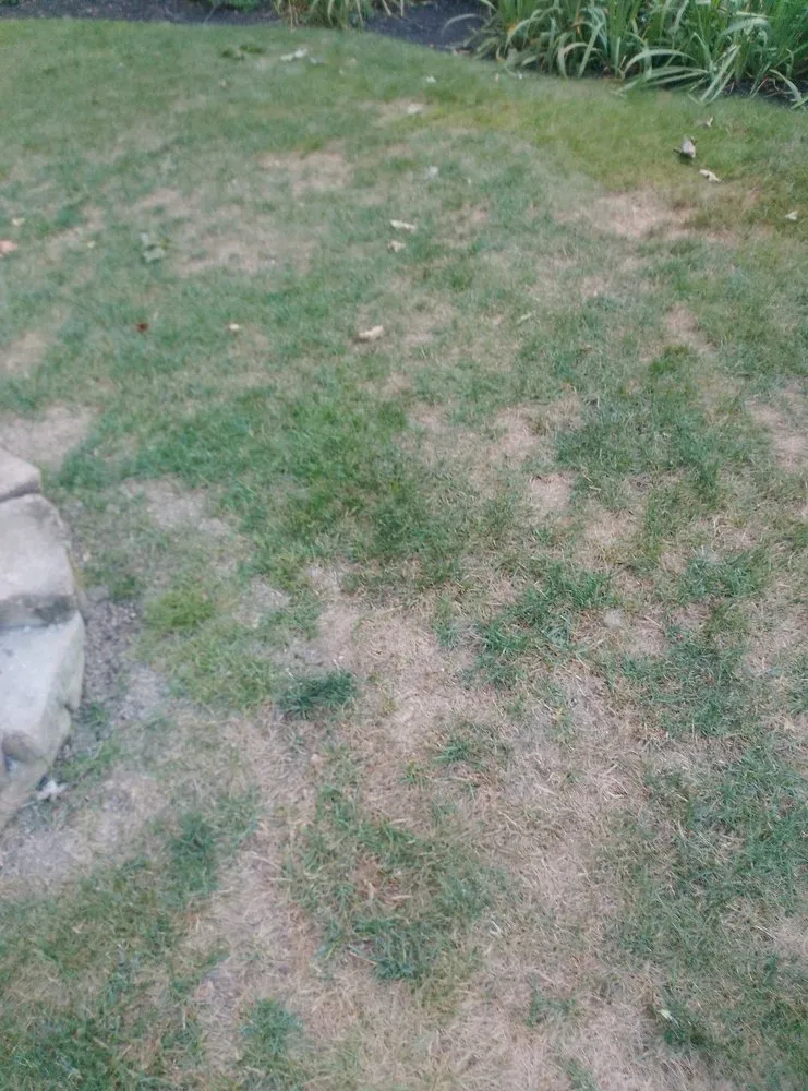 Trusted lawn mowing service in Smithfield, RI by MissionGreen Services