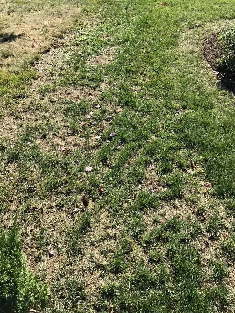 Expert landscaping services in Smithfield, RI by MissionGreen Services