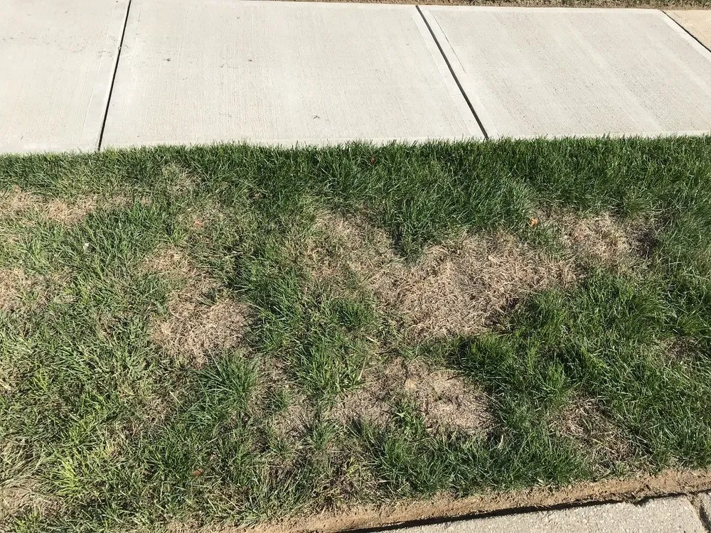 Top-rated garden landscaping experts serving Smithfield, RI - MissionGreen Services