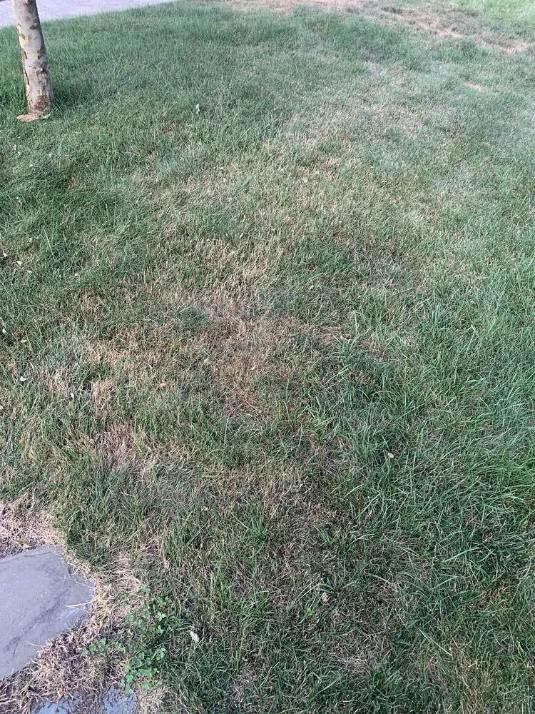 Reliable landscape design in Smithfield, RI by MissionGreen Services