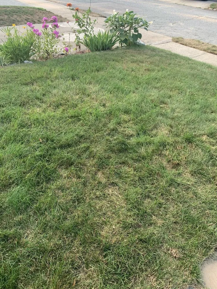 Professional outdoor landscaping for beautiful yards in Smithfield, RI by MissionGreen Services