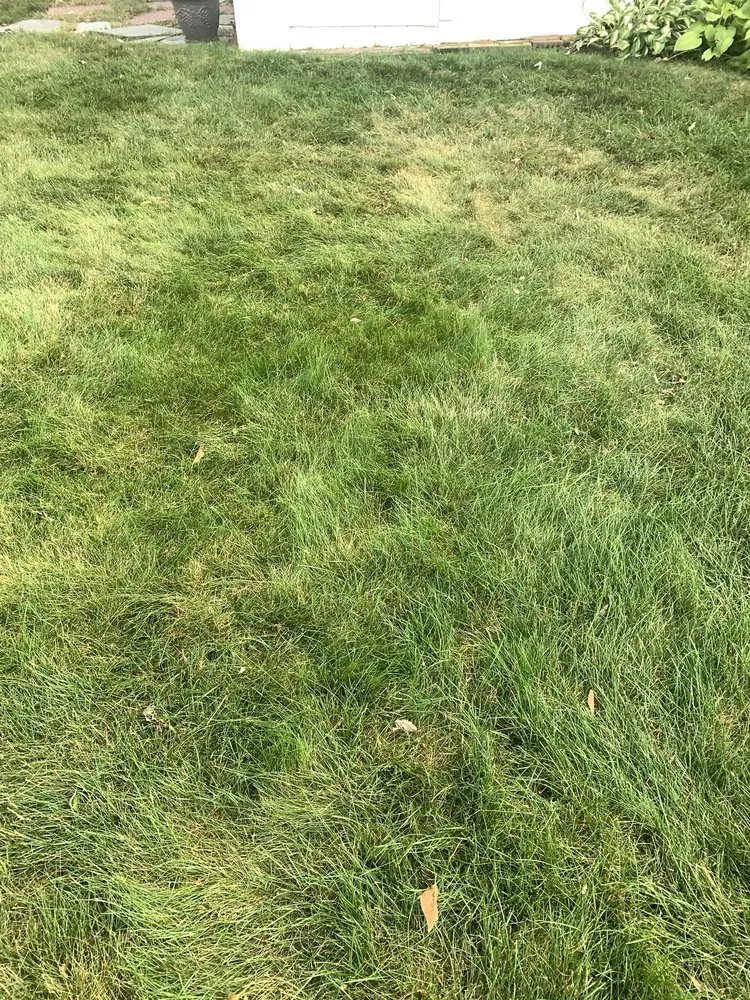 Trusted garden landscaping for beautiful yards across Smithfield, RI - MissionGreen Services