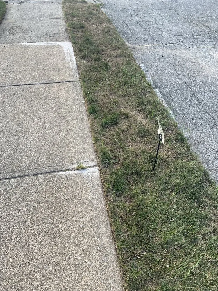 Trusted landscape design experts serving Smithfield, RI - MissionGreen Services