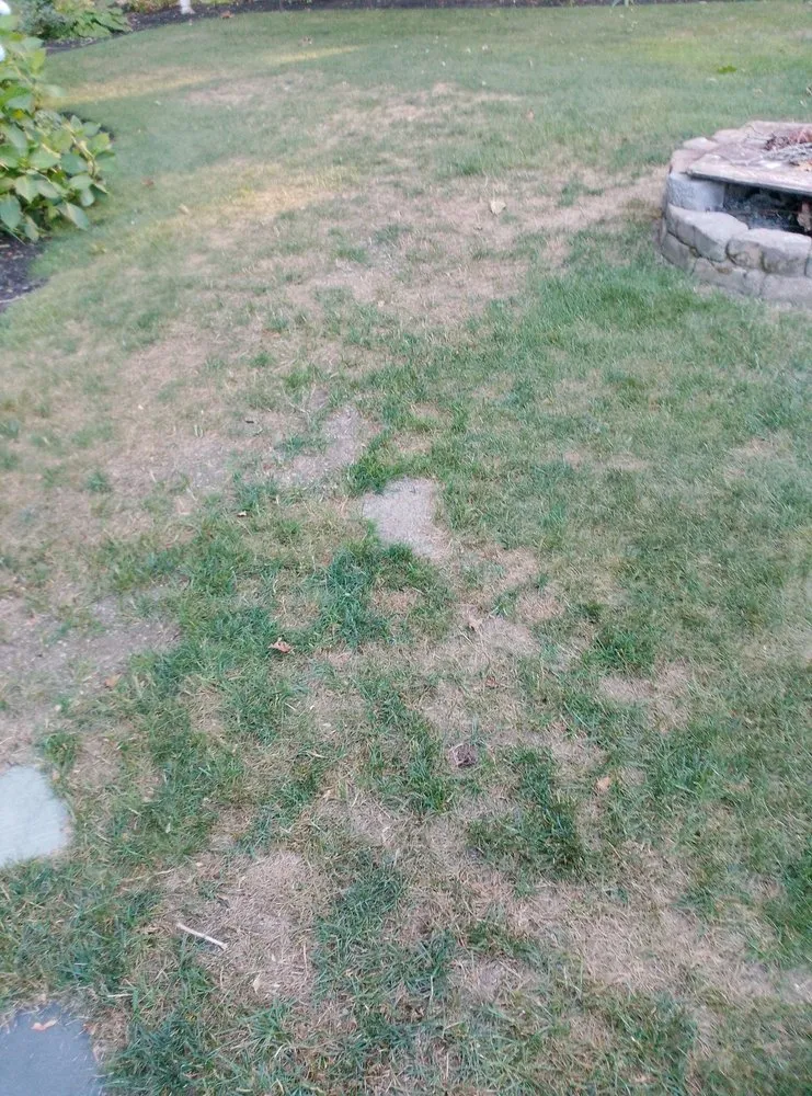 Reliable garden landscaping for residential properties across Smithfield, RI - MissionGreen Services