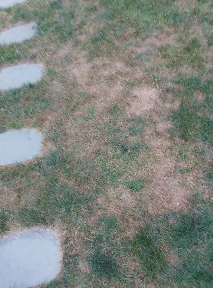 Affordable yard cleanup service for beautiful yards in Smithfield, RI by MissionGreen Services