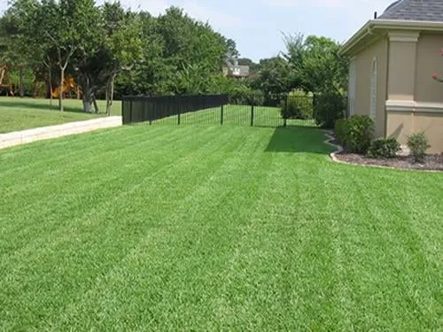 Expert residential landscaping in St. Augustine, FL by Missions Lawn and Landscape