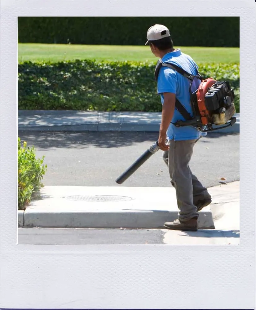 Expert yard maintenance in St. Augustine, FL - Missions Lawn and Landscape