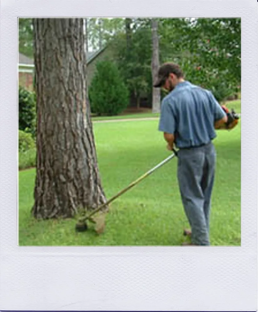 Custom landscape installation near you across St. Augustine, FL - Missions Lawn and Landscape