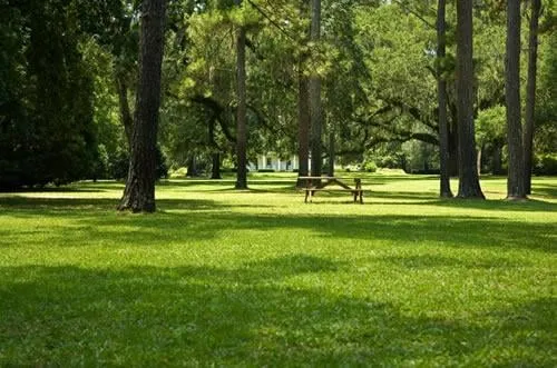 Expert outdoor landscaping for outdoor upgrades across St. Augustine, FL - Missions Lawn and Landscape