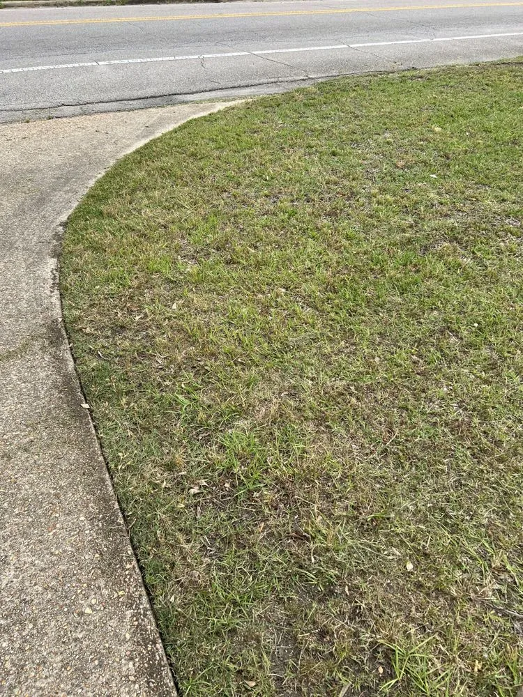 Top-rated lawn care service experts serving Tupelo, MS - Mississippi Baddboyy Lawncare