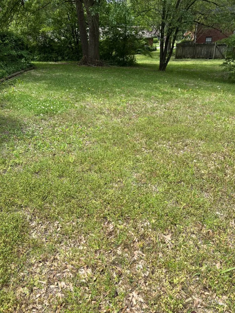 Custom lawn mowing service in Tupelo, MS - Mississippi Baddboyy Lawncare