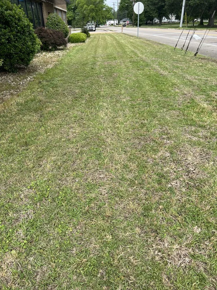 Expert landscape installation experts serving Tupelo, MS - Mississippi Baddboyy Lawncare