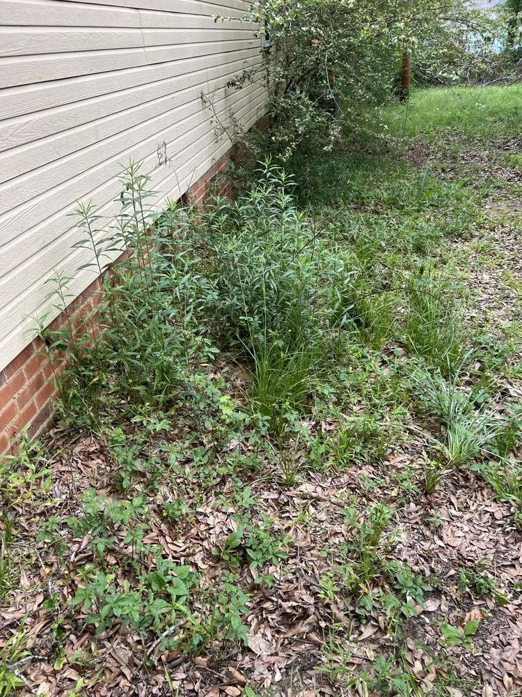 Expert residential landscaping experts serving Tupelo, MS - Mississippi Baddboyy Lawncare