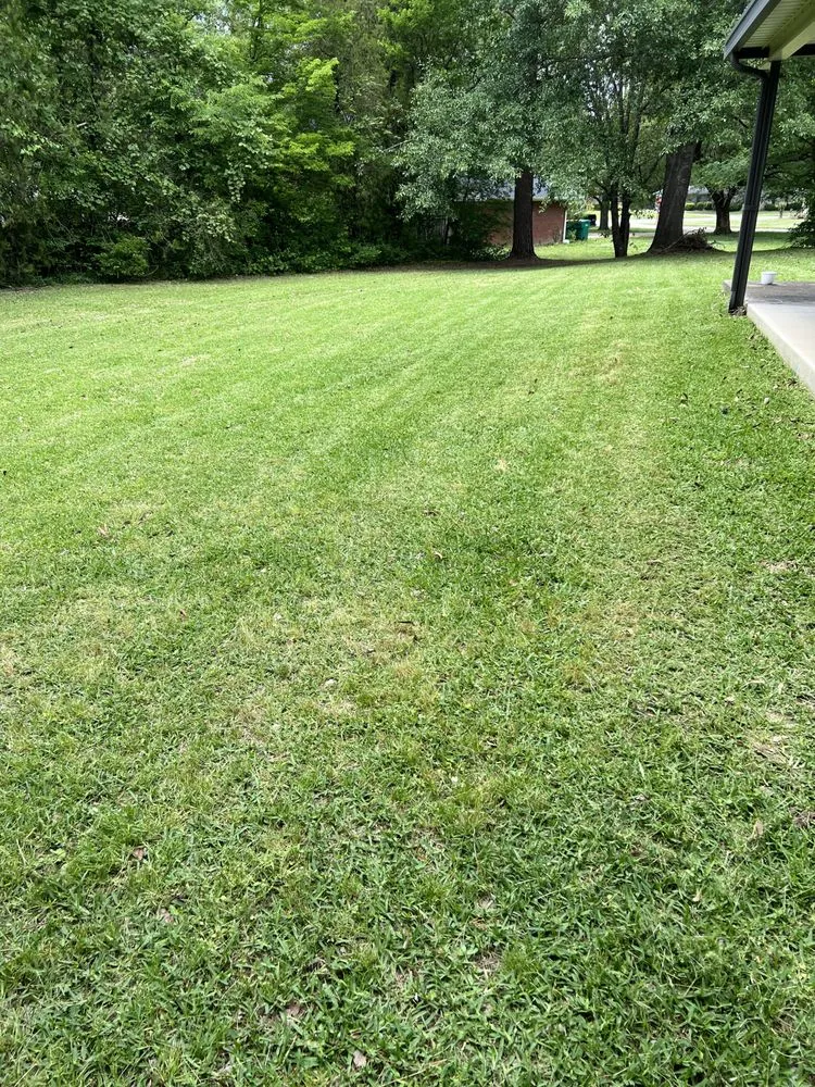 Affordable landscape installation in Tupelo, MS - Mississippi Baddboyy Lawncare