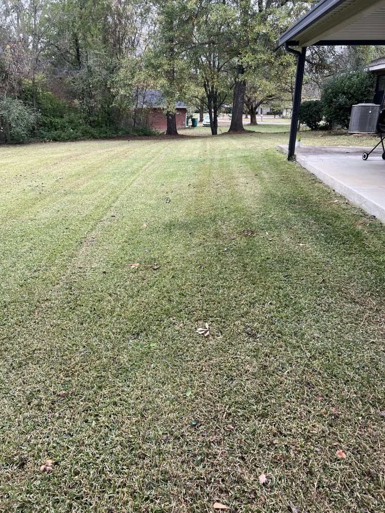 Expert lawn care service experts serving Tupelo, MS - Mississippi Baddboyy Lawncare