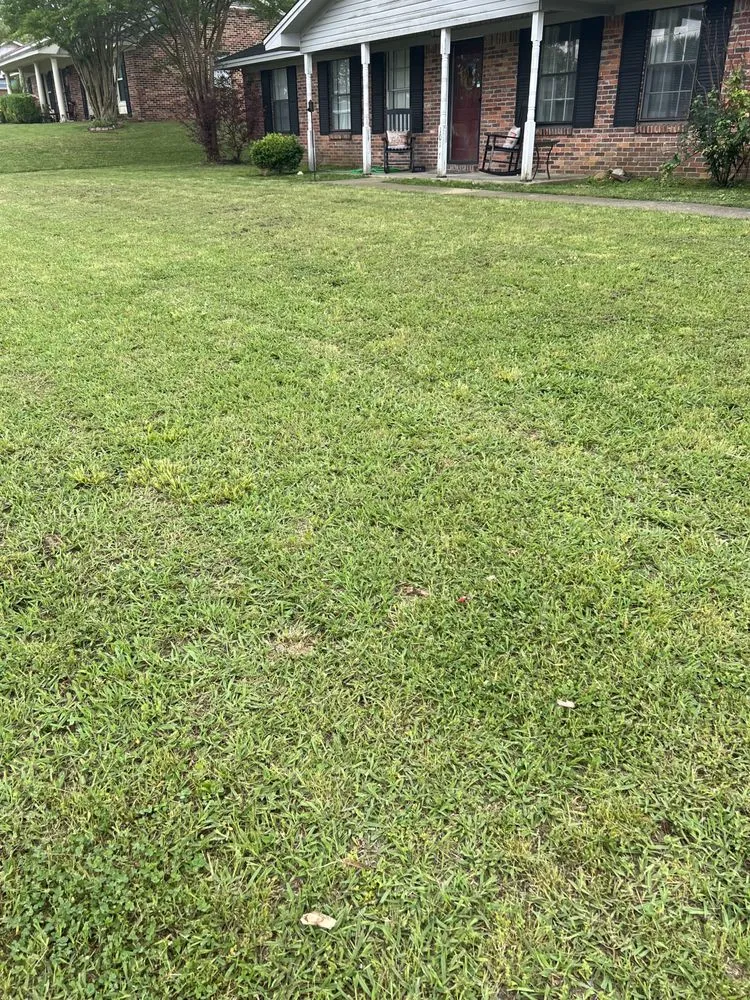 Custom landscape design in Tupelo, MS - Mississippi Baddboyy Lawncare