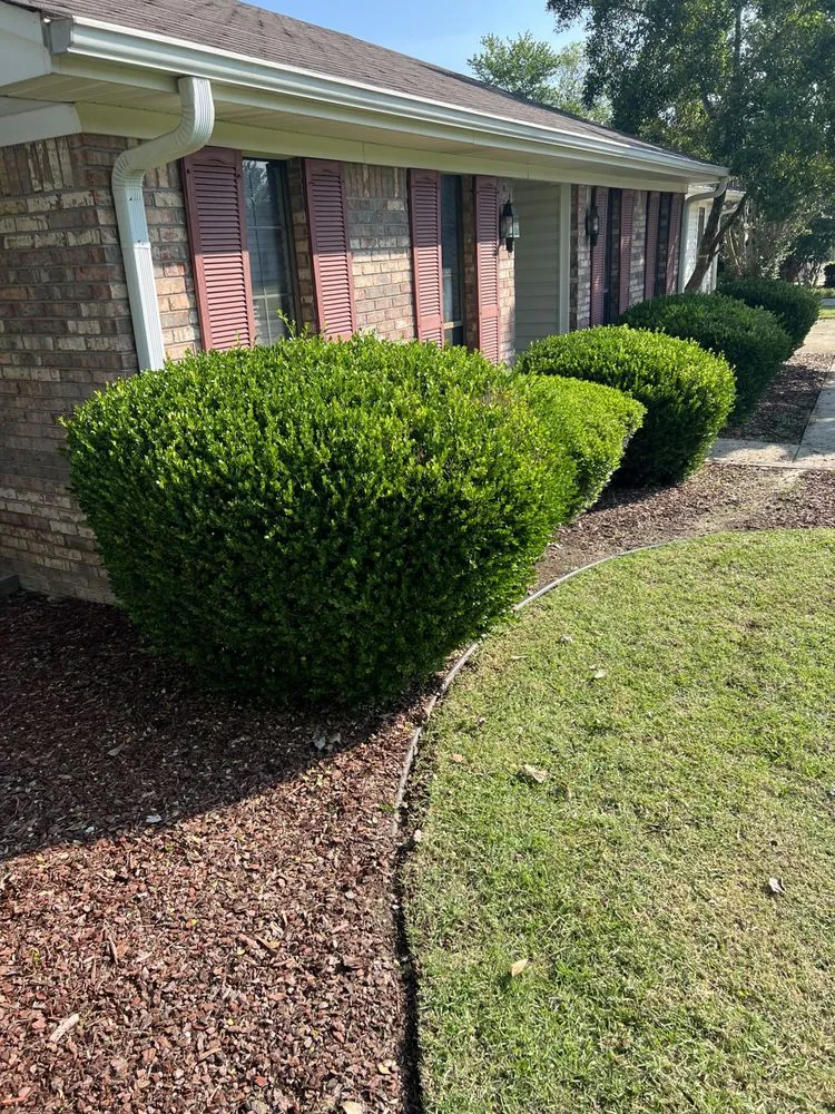 Affordable garden landscaping for year-round maintenance in Tupelo, MS by Mississippi Baddboyy Lawncare