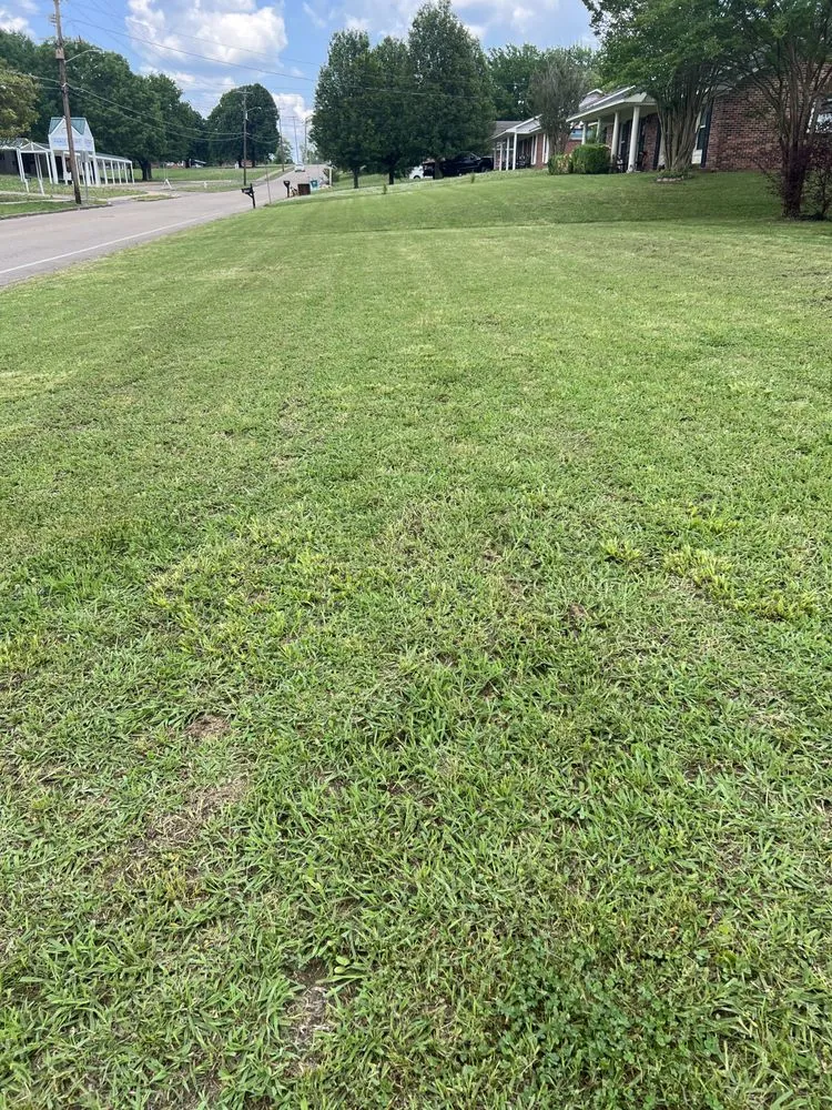 Trusted yard maintenance for outdoor upgrades across Tupelo, MS - Mississippi Baddboyy Lawncare
