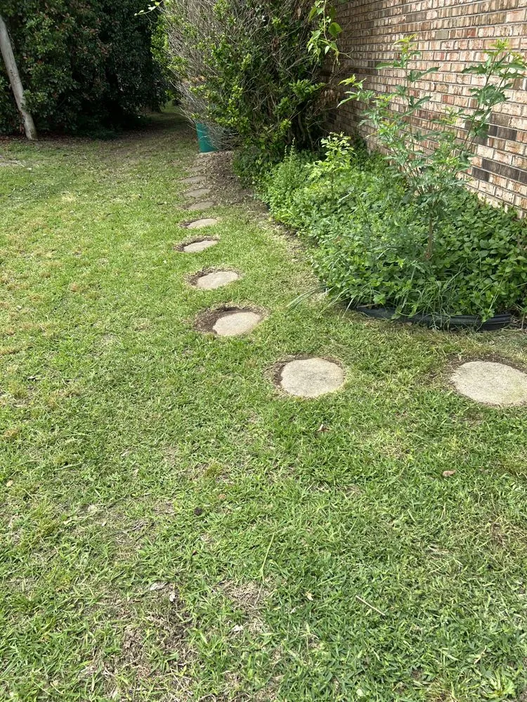 Trusted yard cleanup service in Tupelo, MS by Mississippi Baddboyy Lawncare