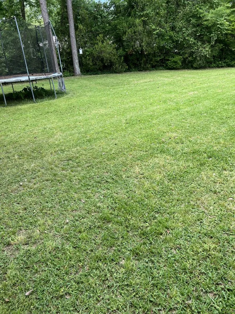 Affordable residential landscaping for residential properties across Tupelo, MS - Mississippi Baddboyy Lawncare