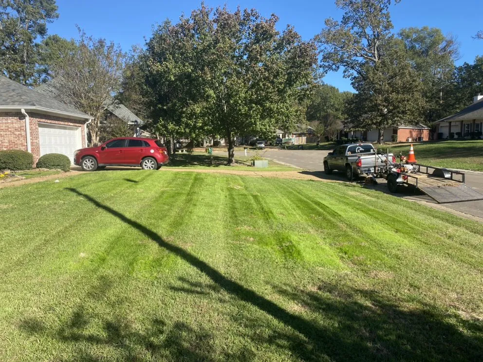 Local yard maintenance experts serving Ridgeland, MS - Mississippi Greenery