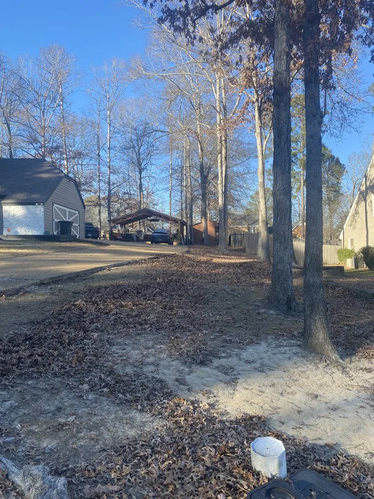 Local garden landscaping experts serving Ridgeland, MS - Mississippi Greenery