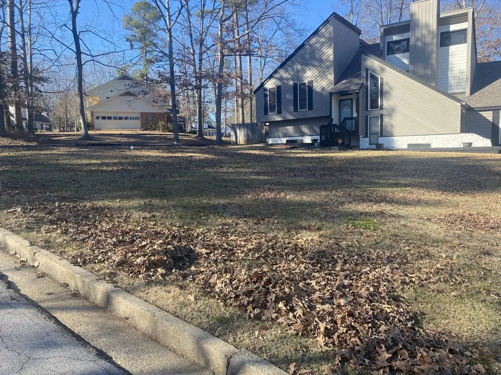 Expert outdoor landscaping in Ridgeland, MS - Mississippi Greenery