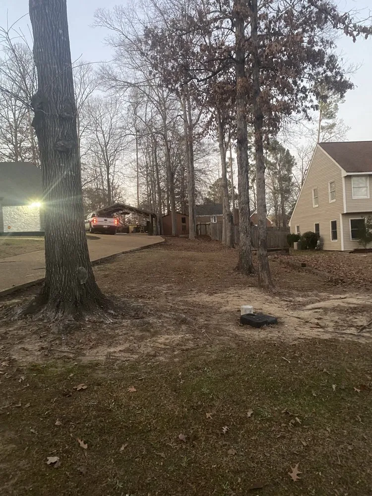 Top-rated garden landscaping in Ridgeland, MS - Mississippi Greenery