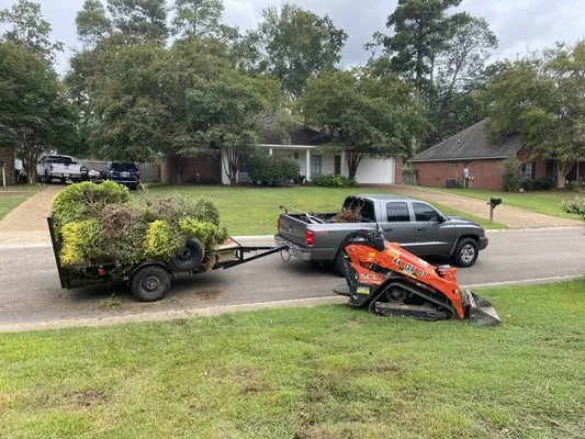 Mississippi Greenery