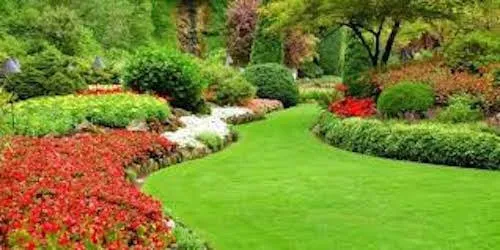 Custom residential landscaping for homes across Okolona, MS - Mississippi Lawn Management
