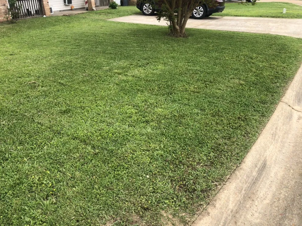 Expert landscaping services in Florence, MS by Mississippi Lawn Pro