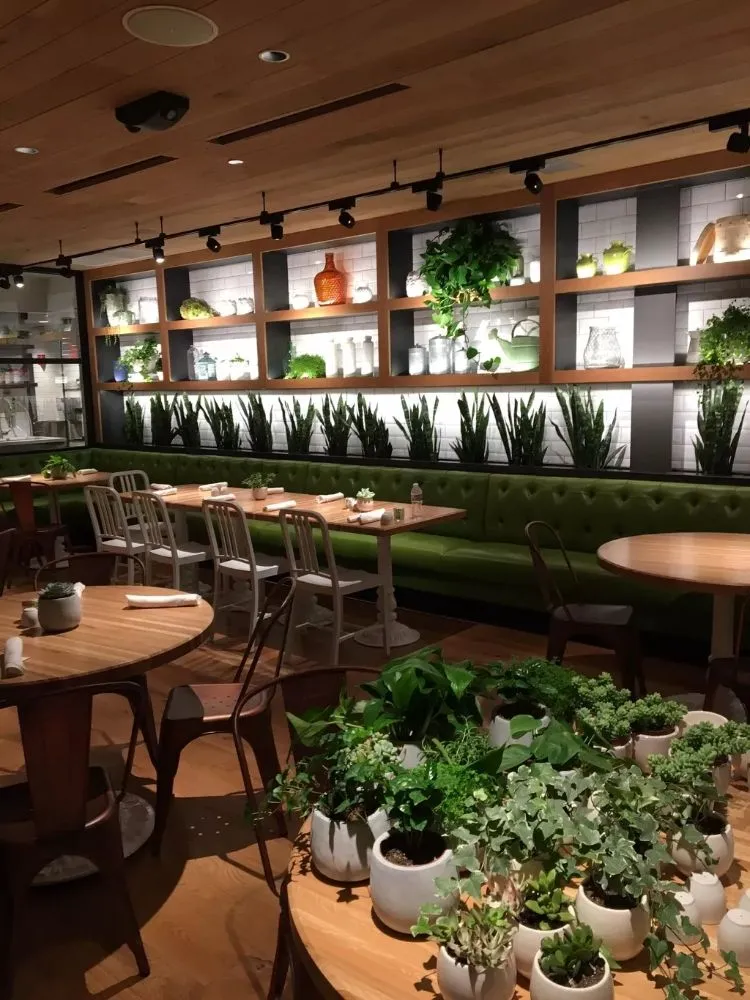 Expert landscaping services in Richmond, CA - MissLandscape