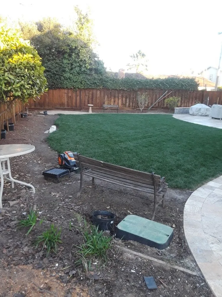 Expert lawn care service for beautiful yards in Richmond, CA by MissLandscape