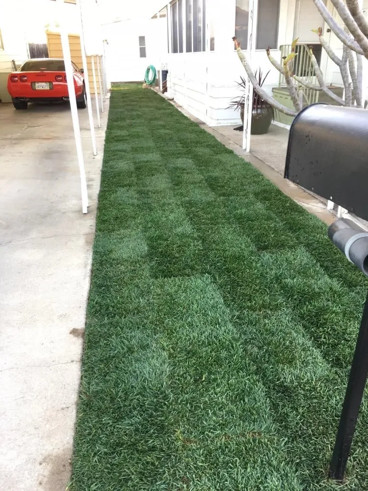 Local landscape design in Richmond, CA - MissLandscape