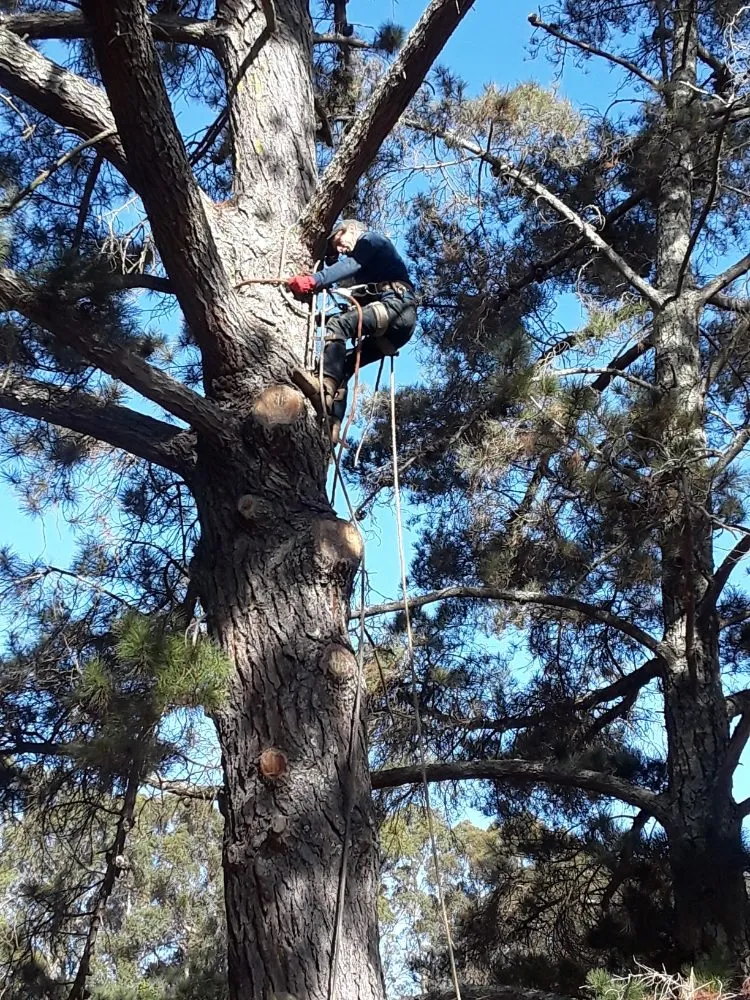 Top-rated landscape design in Richmond, CA by MissLandscape