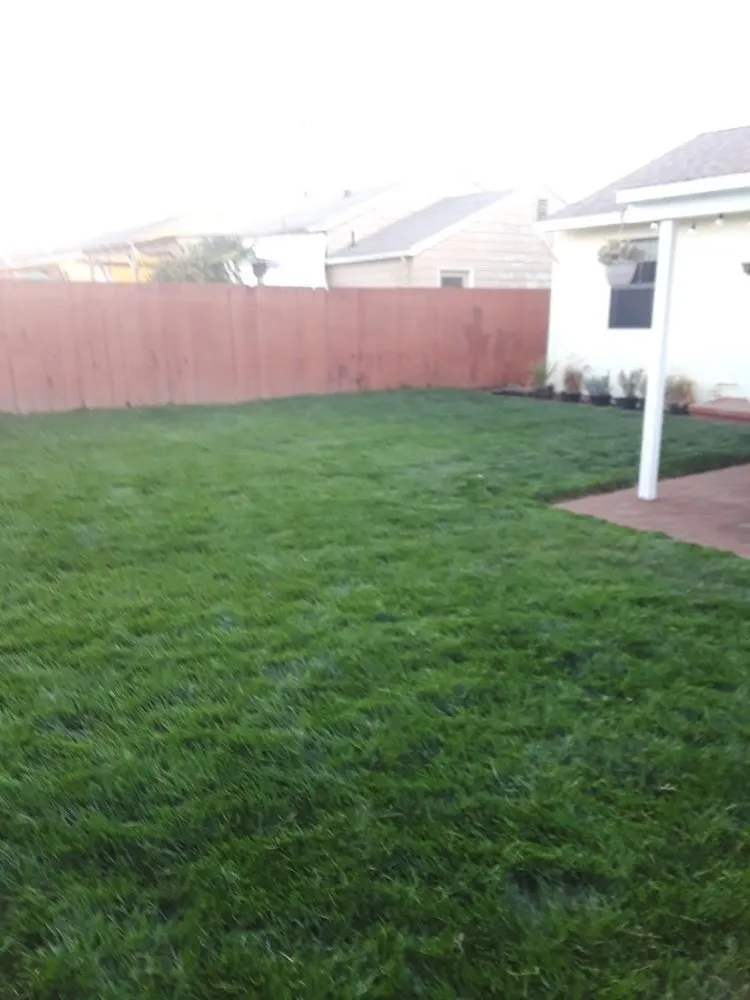 Top-rated yard maintenance in Richmond, CA - MissLandscape