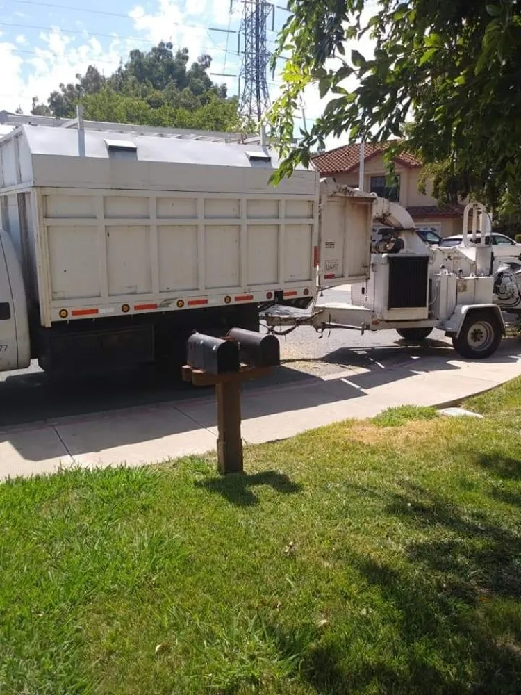 Local landscaping services in Richmond, CA - MissLandscape