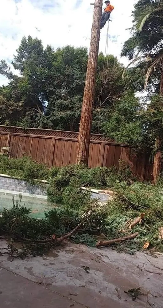 Trusted landscape design for residential properties in Richmond, CA by MissLandscape