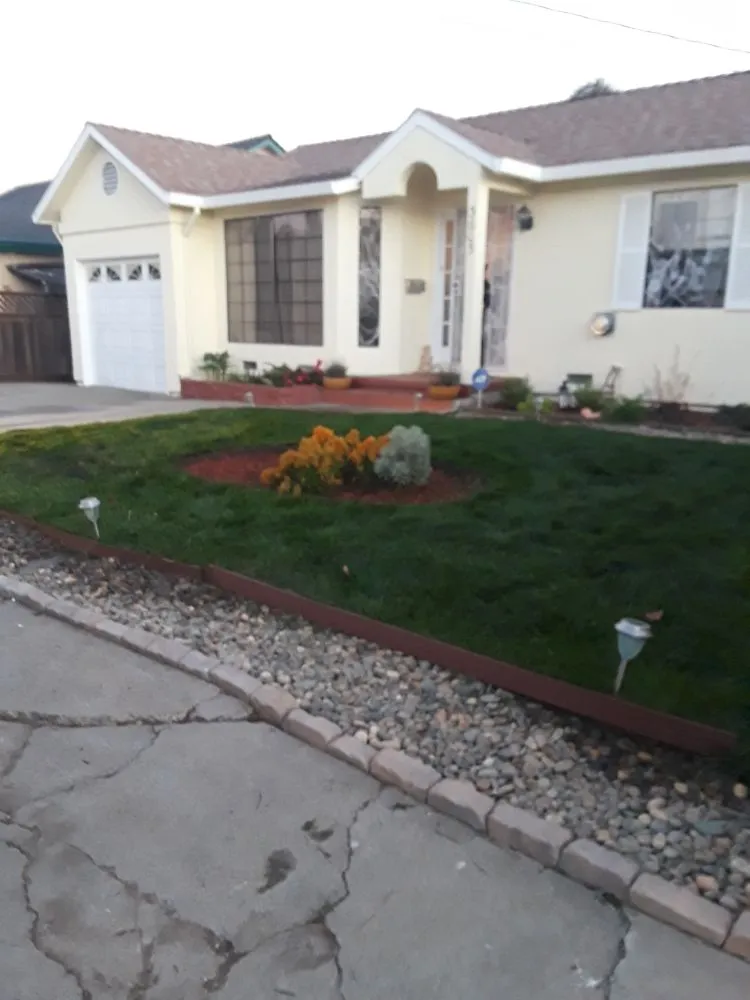 Expert garden landscaping in Richmond, CA by MissLandscape