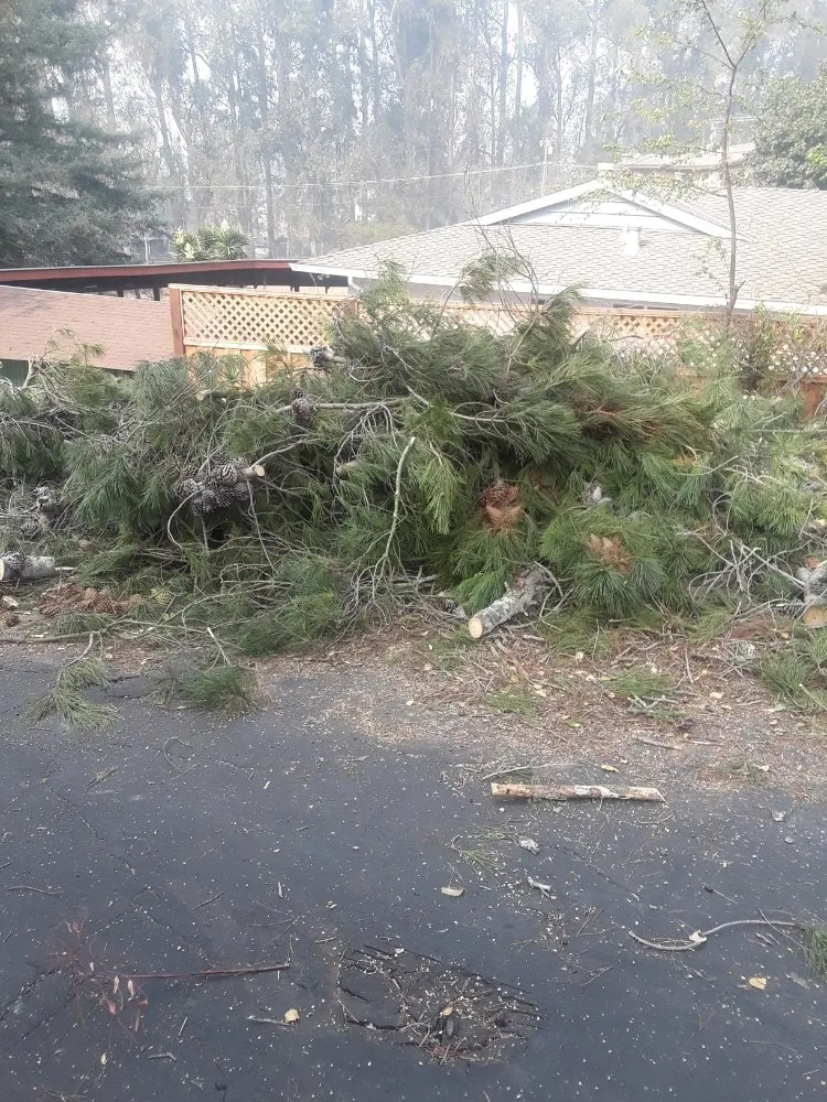 Reliable landscape installation in Richmond, CA by MissLandscape