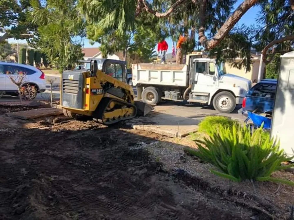 Professional landscaping services experts serving Richmond, CA - MissLandscape