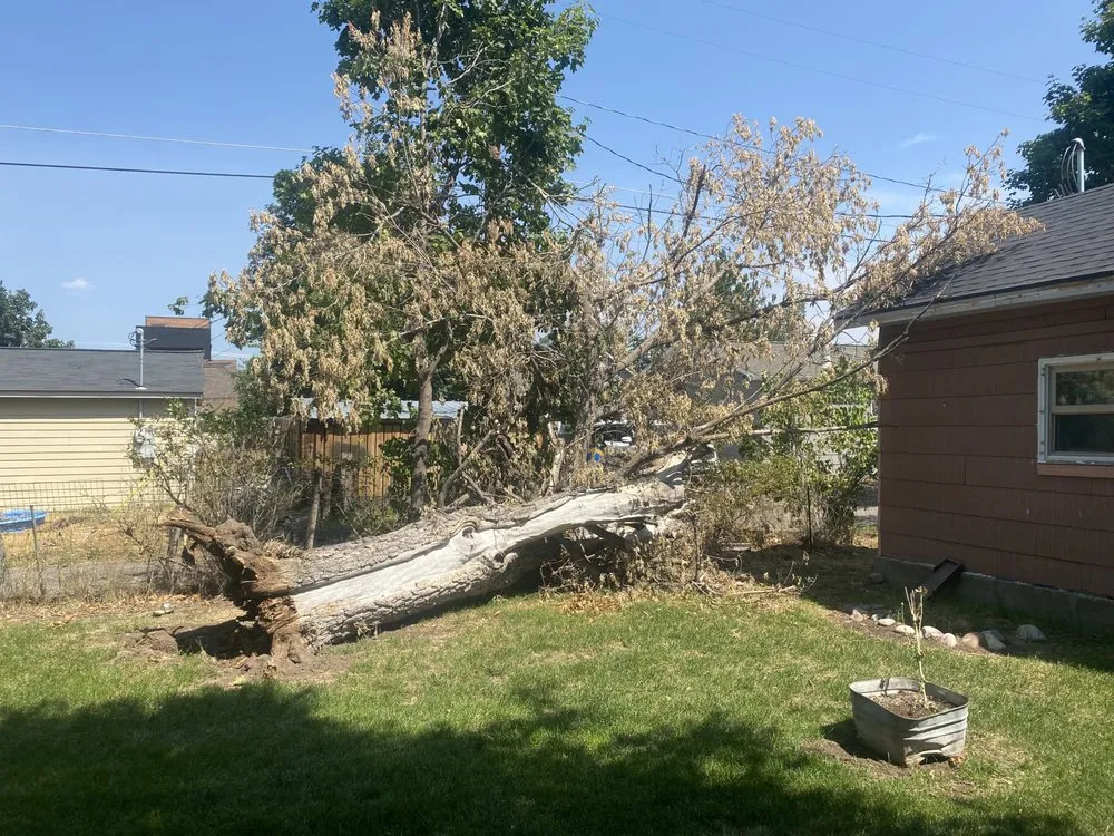 Local landscape design experts serving Missoula, MT - Missoula Landscape Solutions