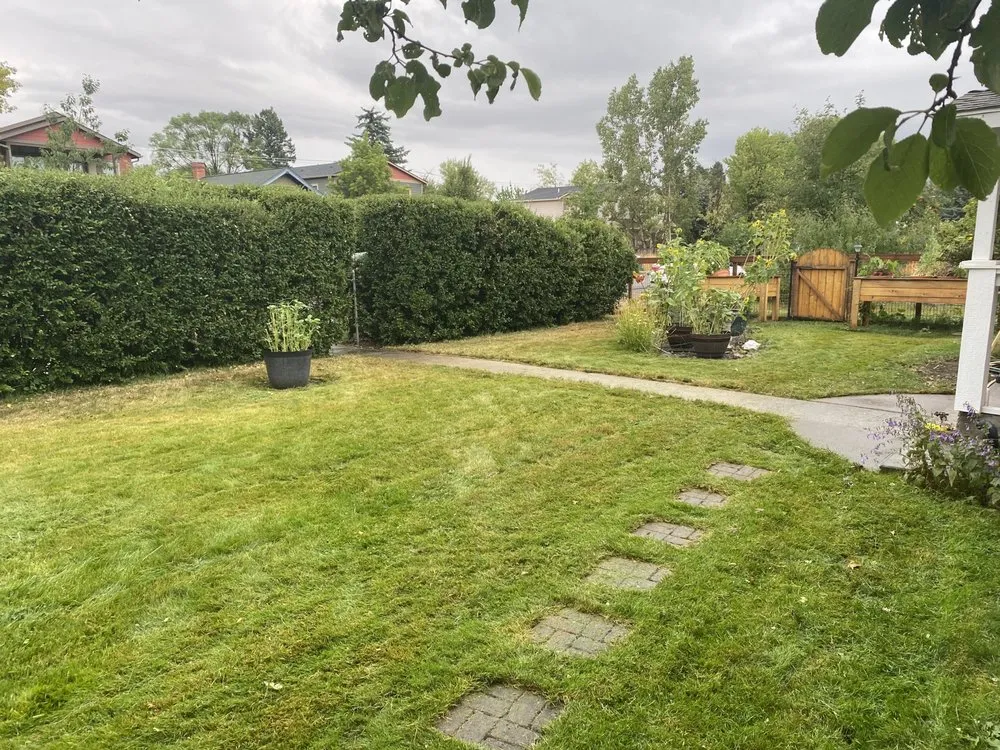 Expert lawn mowing service in Missoula, MT by Missoula Landscape Solutions