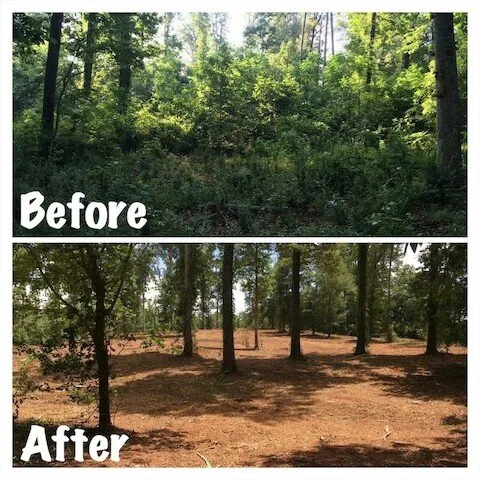 Local yard cleanup service in Eureka, MO by Missouri Brush Control
