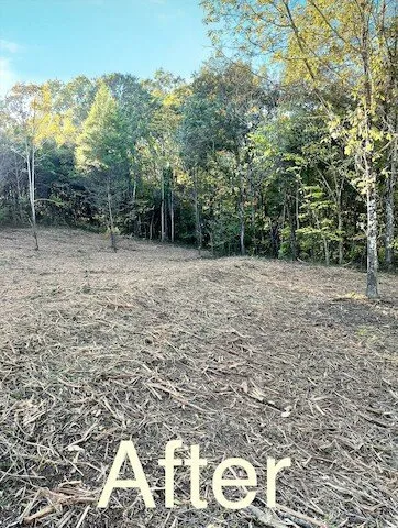 Reliable lawn care service with custom design across Eureka, MO - Missouri Brush Control