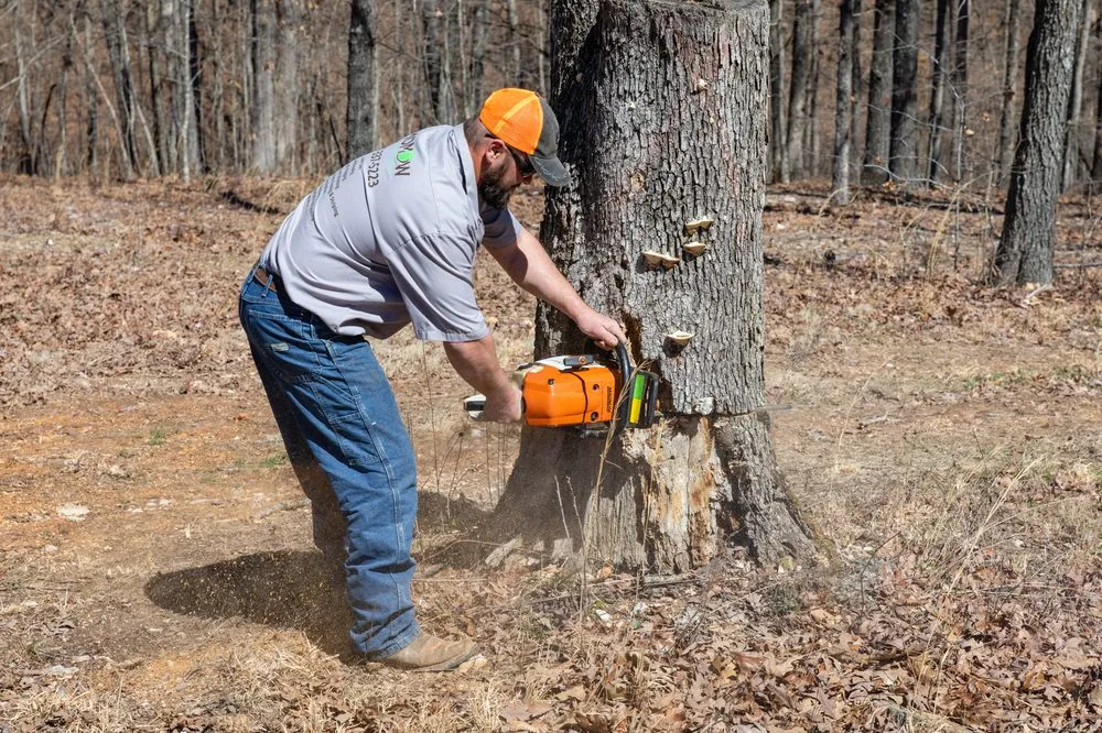 Custom residential landscaping experts serving Galena, MO - Missouri Mow