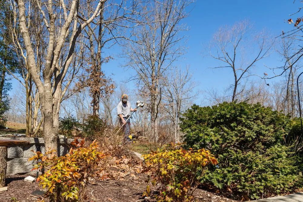 Trusted residential landscaping in Galena, MO - Missouri Mow